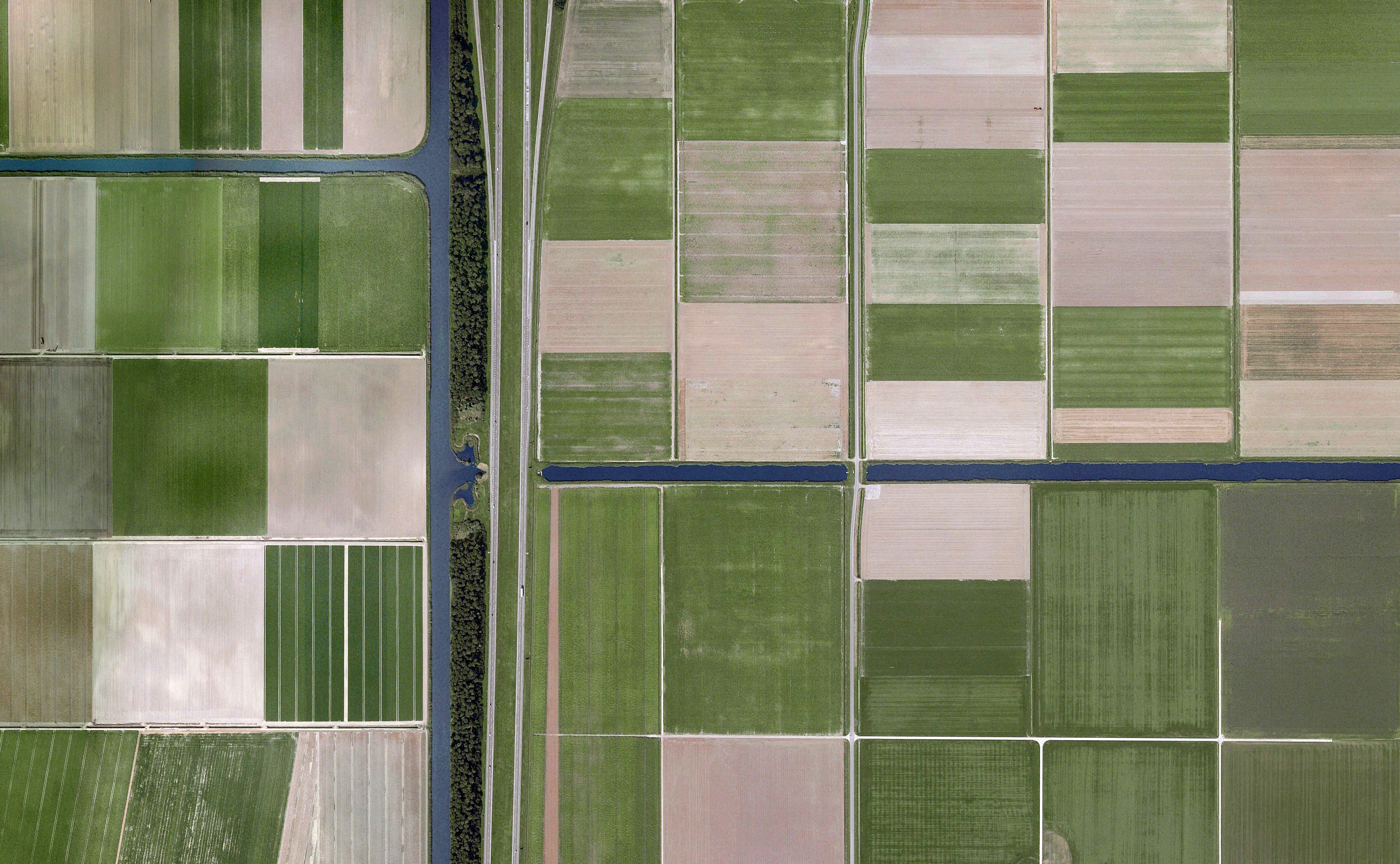 営農型太陽光発電による作物保護