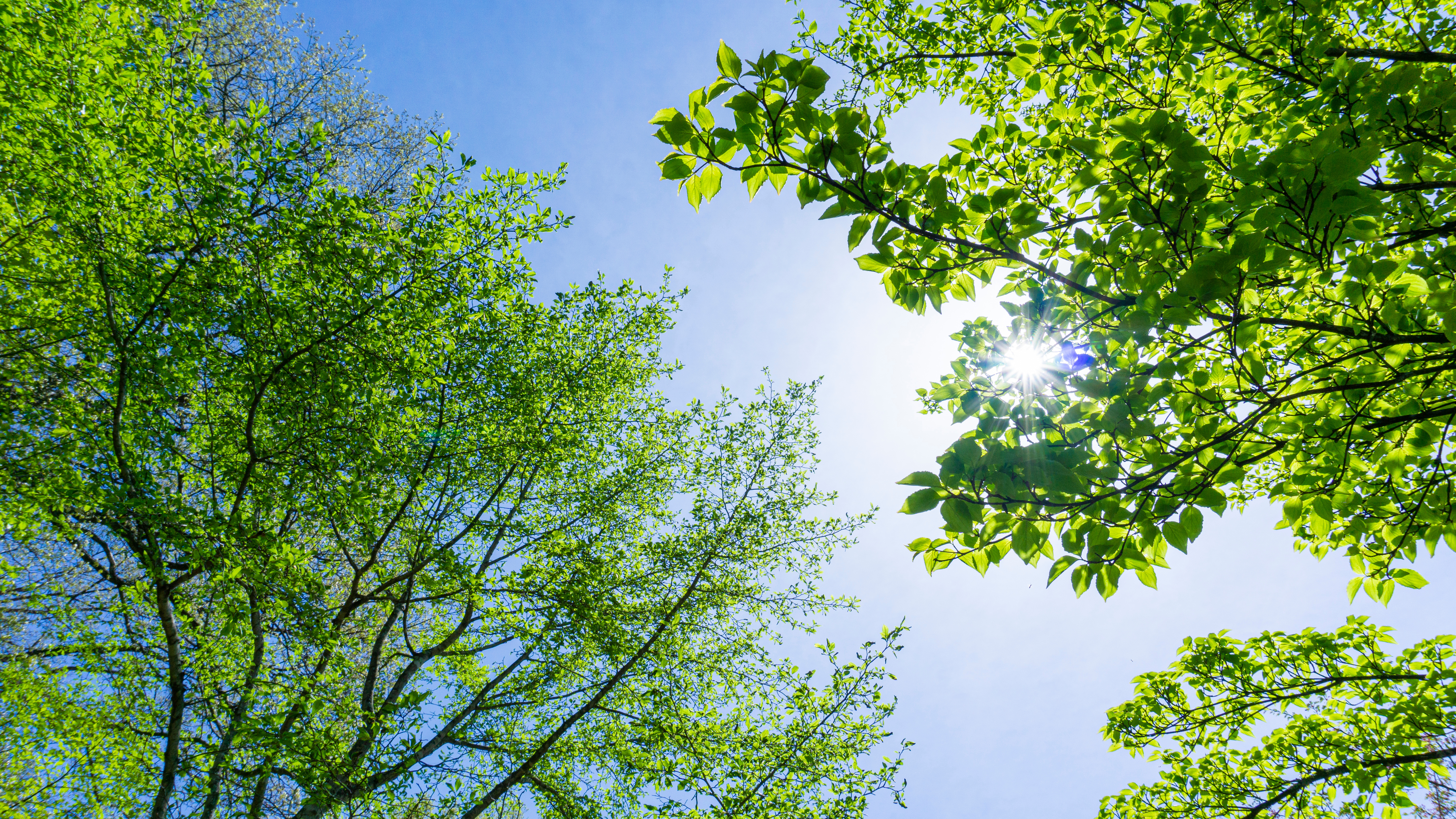 営農型太陽光発電の風景2